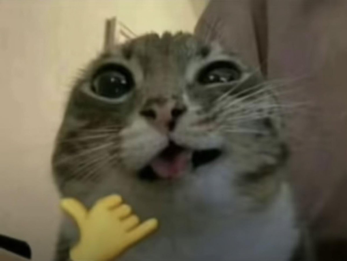 Intersexez's tweet photo. @xeravn @DestinyTheGame @Bungie okay bean https://t.co/lTmfbXMgIN