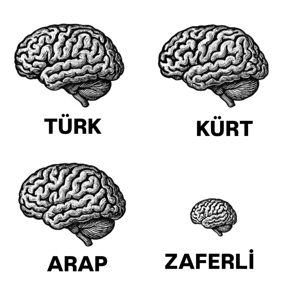 ters_emuselman's tweet photo. Bilimsel bir araşdırmanın sonucu sosial mediada gündəm oldu. https://t.co/WsP9tX6Qad