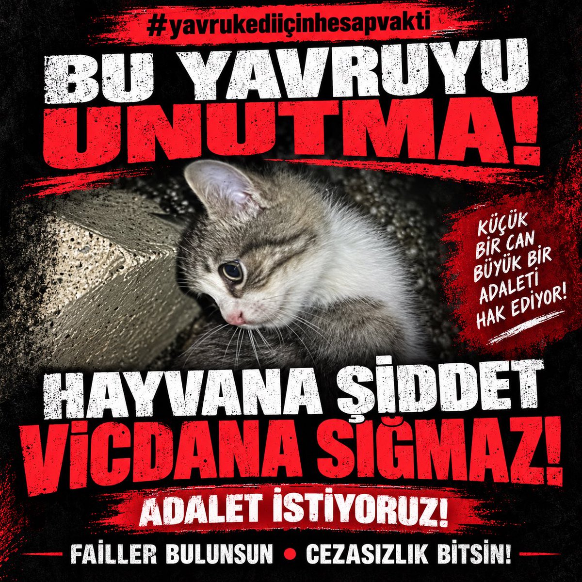 kochero's tweet photo. Bir yavru kedi…

Kendini savunamadı. Kaçamadı. Sesini duyuramadı.

Ama artık onun sesi BİZİZ.

Bu vahşetin üzeri örtülmesin, sorumlular cezasız kalmasın. Bir canın hayatı bu kadar değersiz olamaz.

Unutmayacağız. Susmayacağız. Takipçisi olacağız.

#yavrukediiçinhesapvakti https://t.co/j93eu7Faas