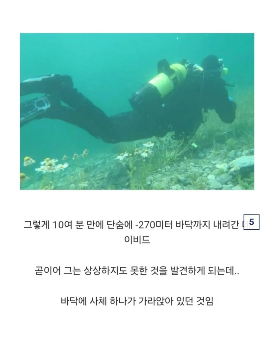 laterinfo_'s tweet photo. 아 수영을 십몇년을 했지만.. 물은 아직도 참 포근하고 무서워.. https://t.co/awabLE20ni