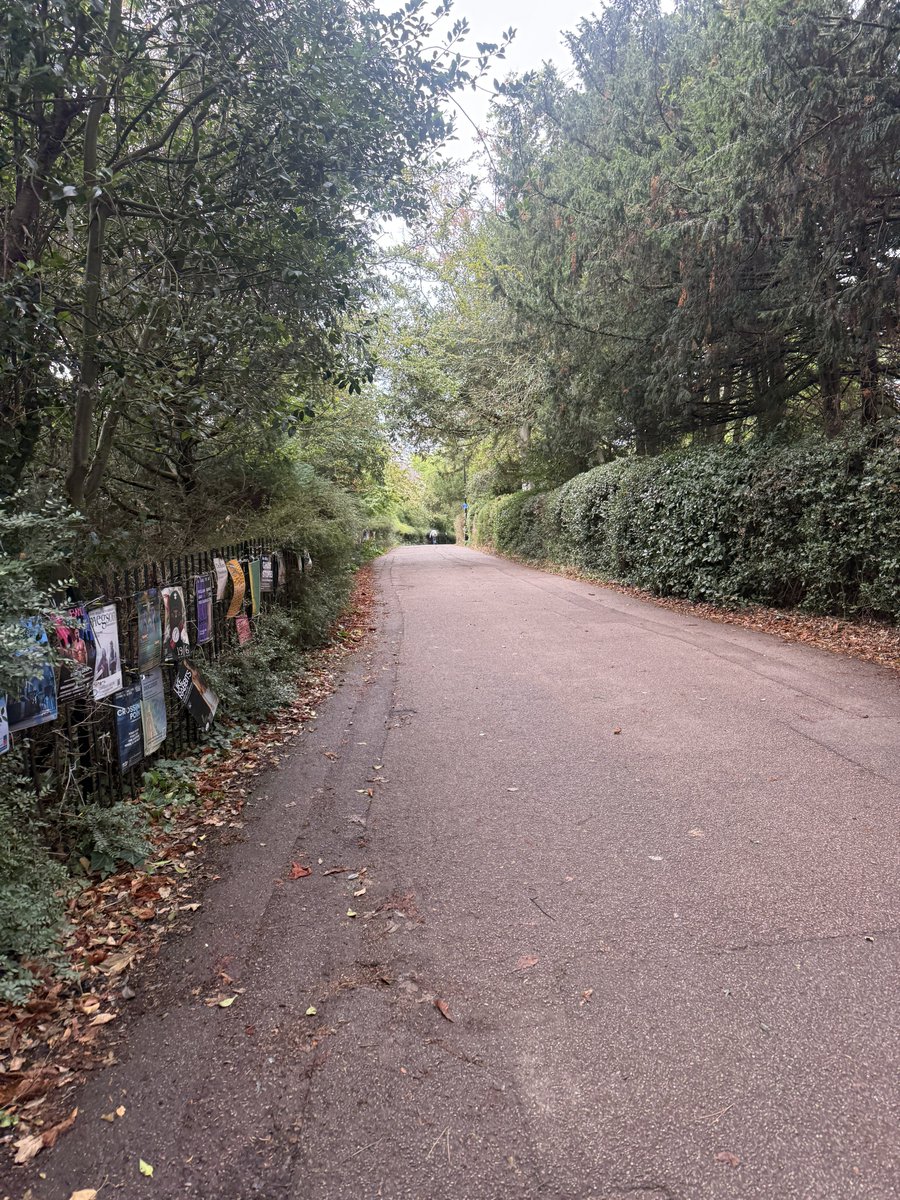 jideopabode's tweet photo. A small walk https://t.co/jMIL9uSILH