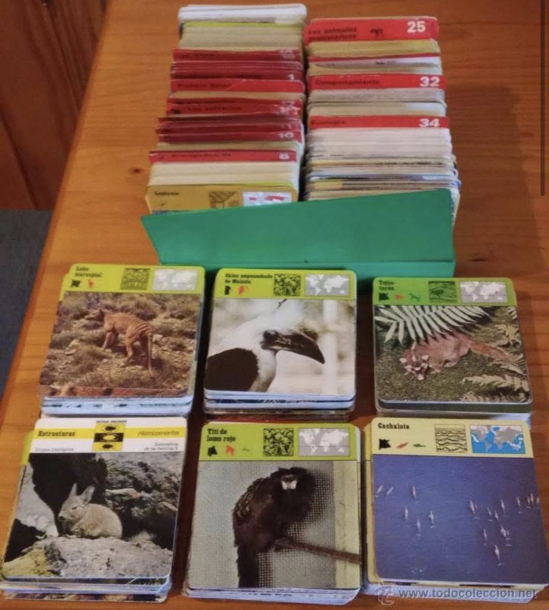 YofuiaEGB's tweet photo. La cantidad de animales que descubrimos que existían gracias a las fichas Safari Club. https://t.co/Dn7oVgQRS6