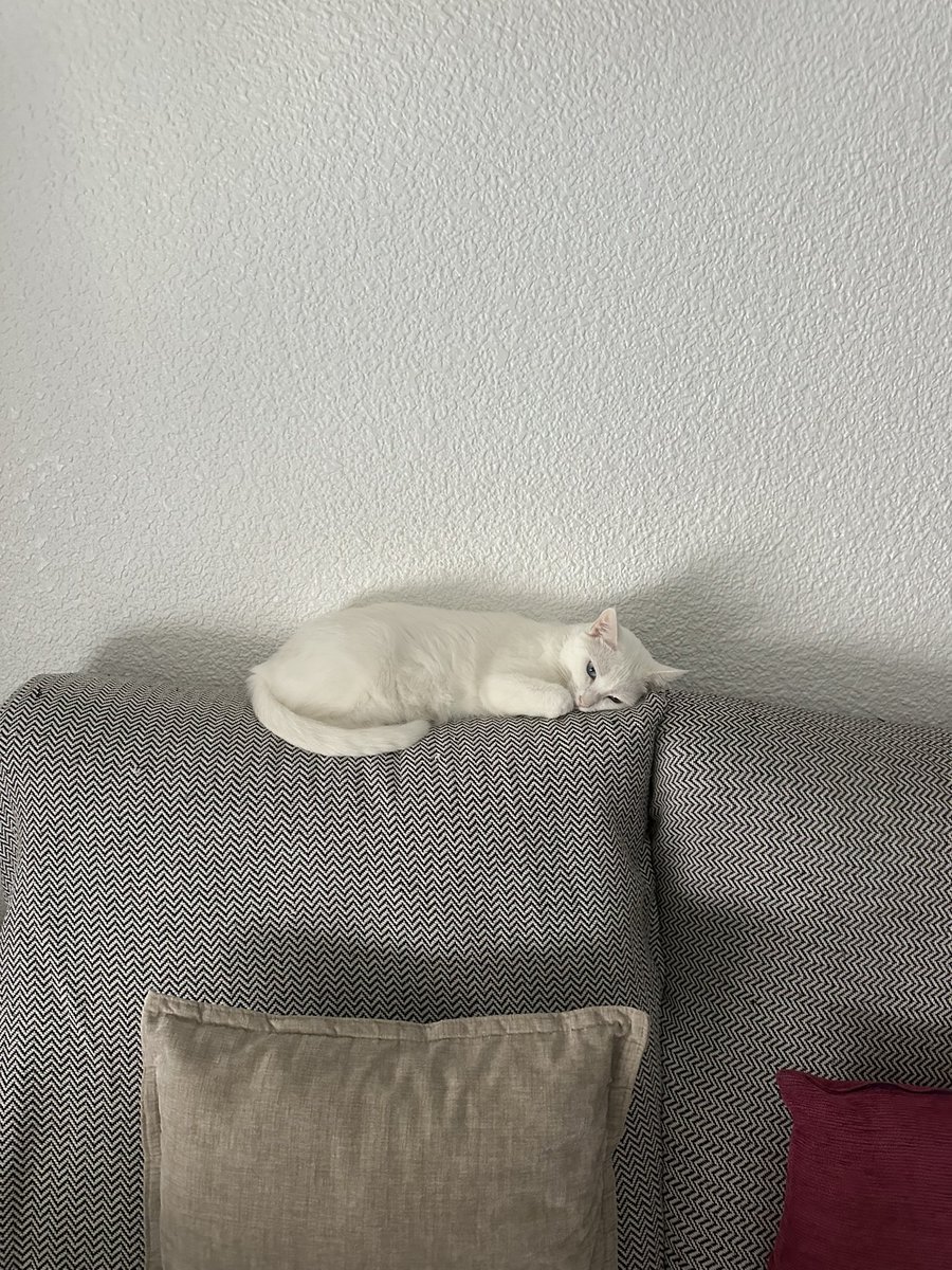 Darkreon_'s tweet photo. Quiero la vida que ella tiene https://t.co/w16iZRtgmu