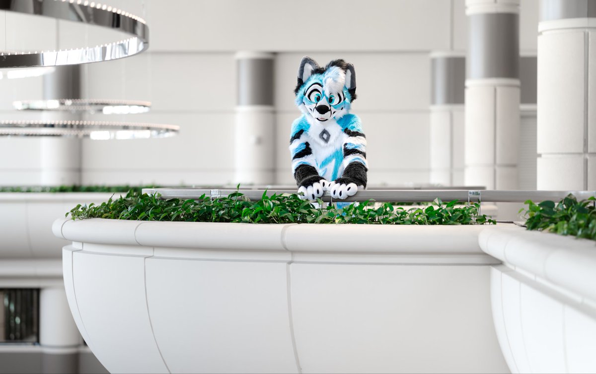 CybrFur's tweet photo. I feel so regal 👑 🩵 https://t.co/g8DCJAEpzq