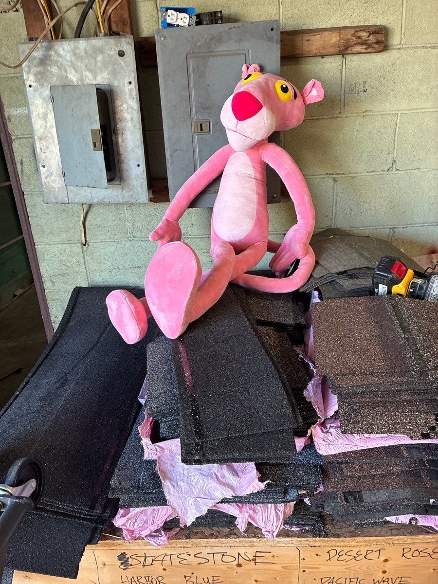 gerkinroofing's tweet photo. Meet the office manager. Bedford's Owens Corning Preferred Contractor has a soft spot for this guy. ๐ (812) 508-0614 https://t.co/MVFLIBwofX #GerkinConstruction #BedfordIndiana #PinkPanther https://t.co/GrGBPHxeHJ