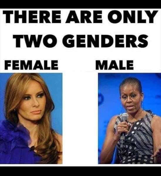JBdaPatriot1's tweet photo. @arva61138 Yes. Melania has the huge advantage of being a female. https://t.co/jXGGeX65Il