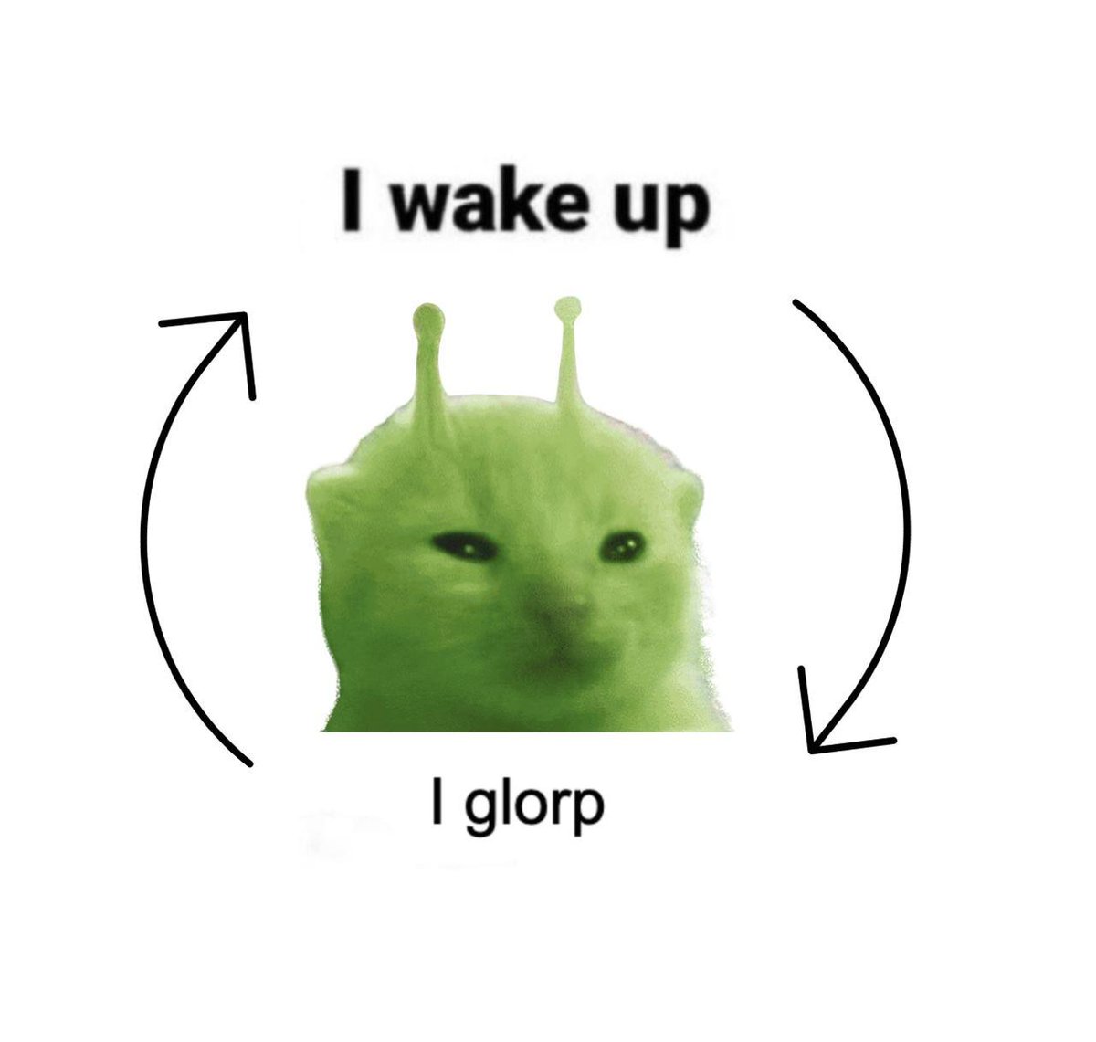 GlorpURA's tweet photo. Gleep.

Glorp. https://t.co/knPPeWN1zp