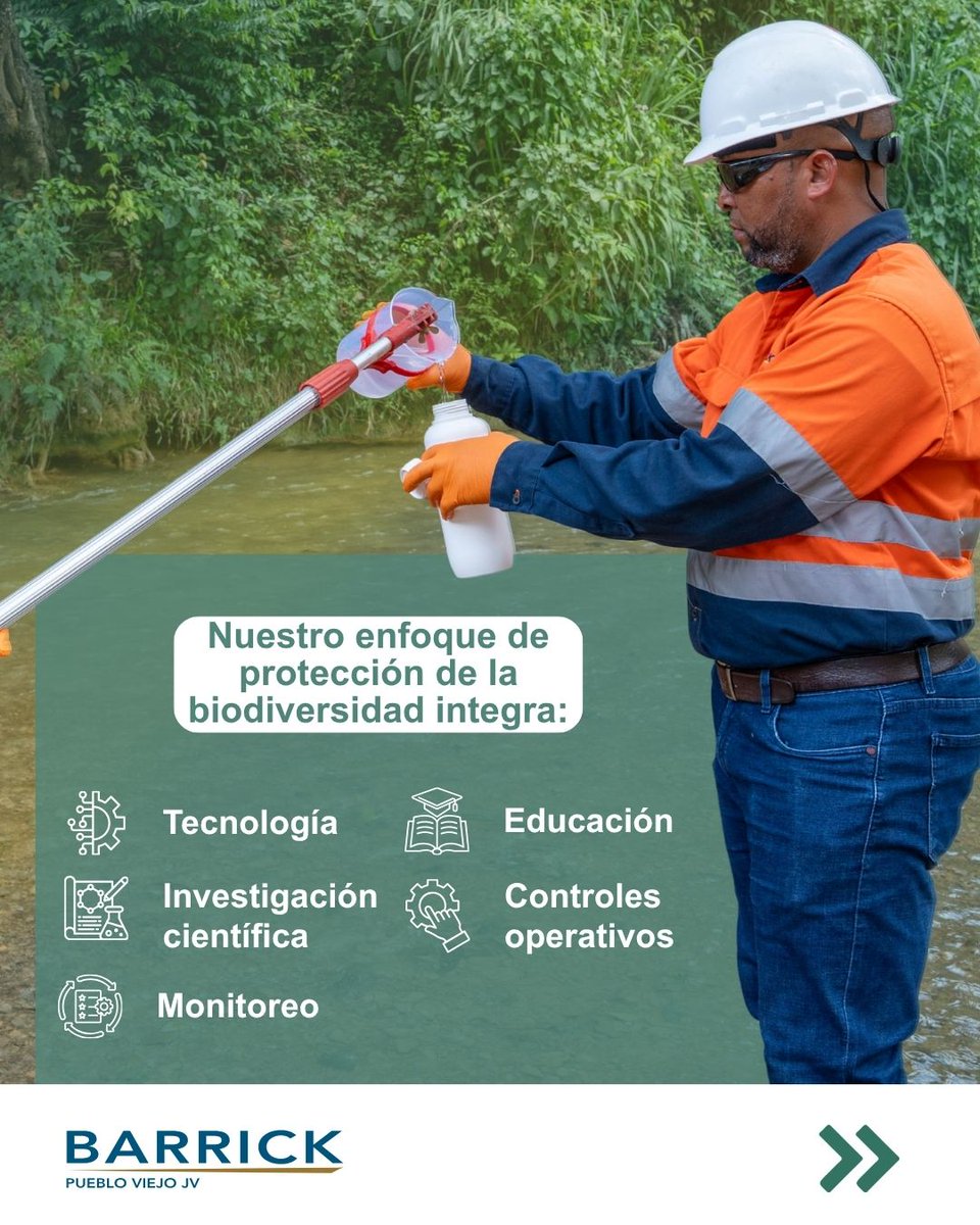 BarrickRD's tweet photo. En Pueblo Viejo integramos distintas herramientas y acciones para contribuir a la conservación de la fauna y los ecosistemas. Cada una aporta desde un ámbito distinto, pero todas responden a un mismo propósito: conocer, proteger y conservar la biodiversidad que nos rodea.

Desliza y conoce las acciones que forman parte de este enfoque.

#BarrickPuebloViejo
#Minería
#Biodiversidad