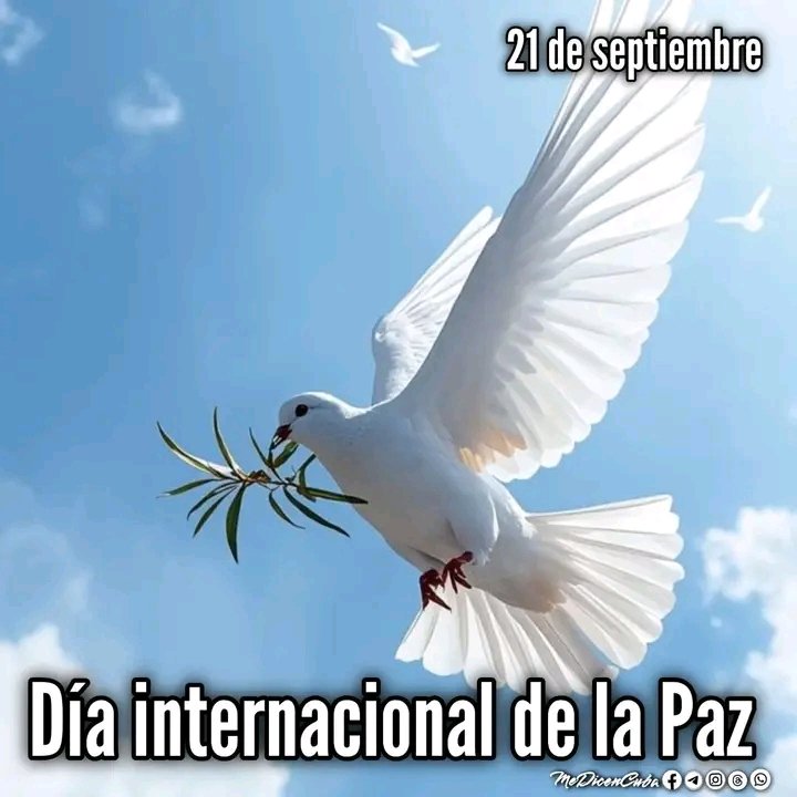 torresyoana2's tweet photo. 🕊️La paz no es solo ausencia de guerra, es presencia de justicia, respeto y solidaridad. Hoy reafirmamos nuestro compromiso de construir un mundo donde cada voz cuente y cada vida importe. #DíaInternacionalDeLaPaz #ConstruyamosLaPaz 
@CubaMined https://t.co/5Jn2loWlPU