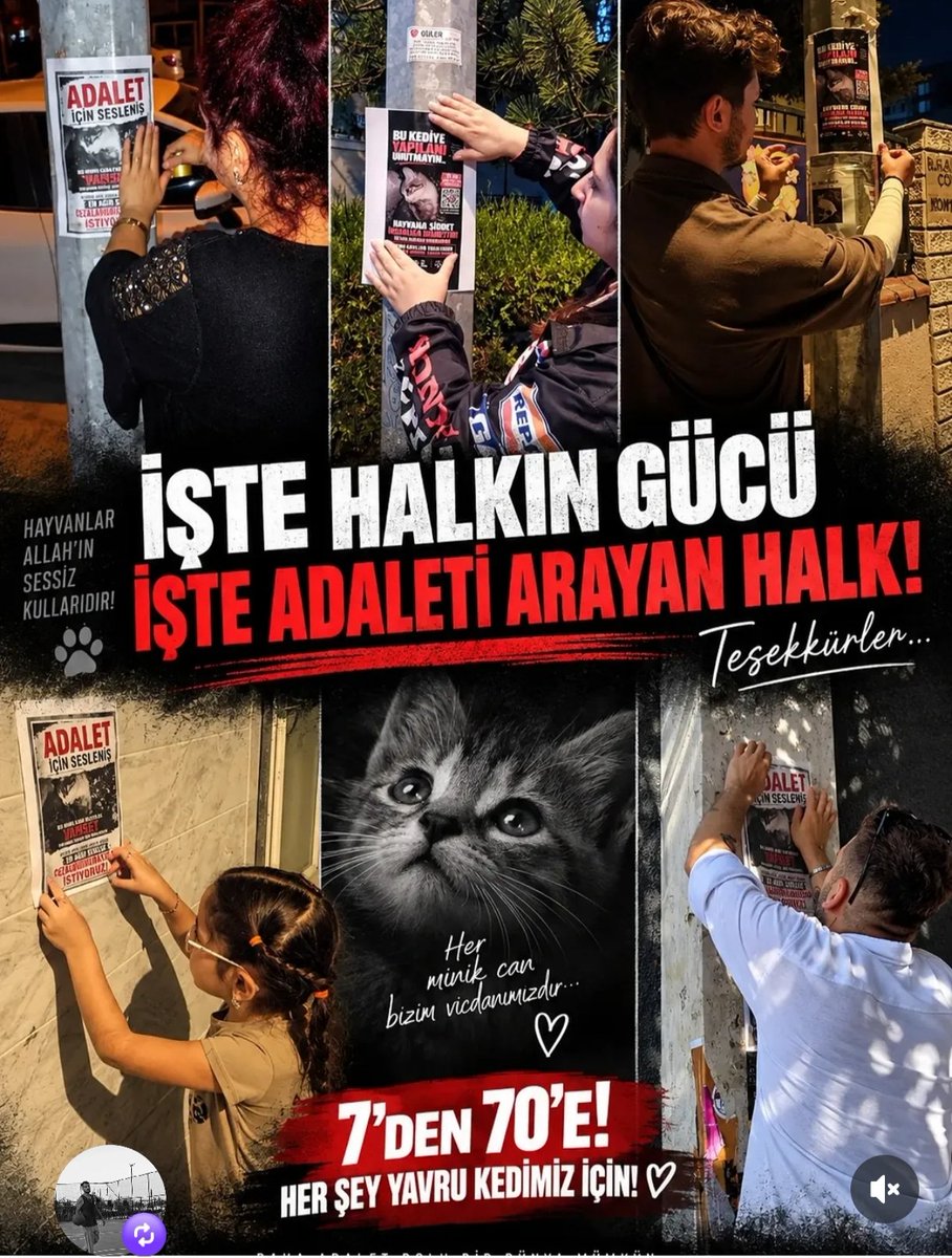 AyeglAk90393304's tweet photo. işte halkın gücü......
İşte adalet arayan halk🐾🐾🙏🙏
#yavrukediicinhesapvakti https://t.co/bwTeVWYk4d