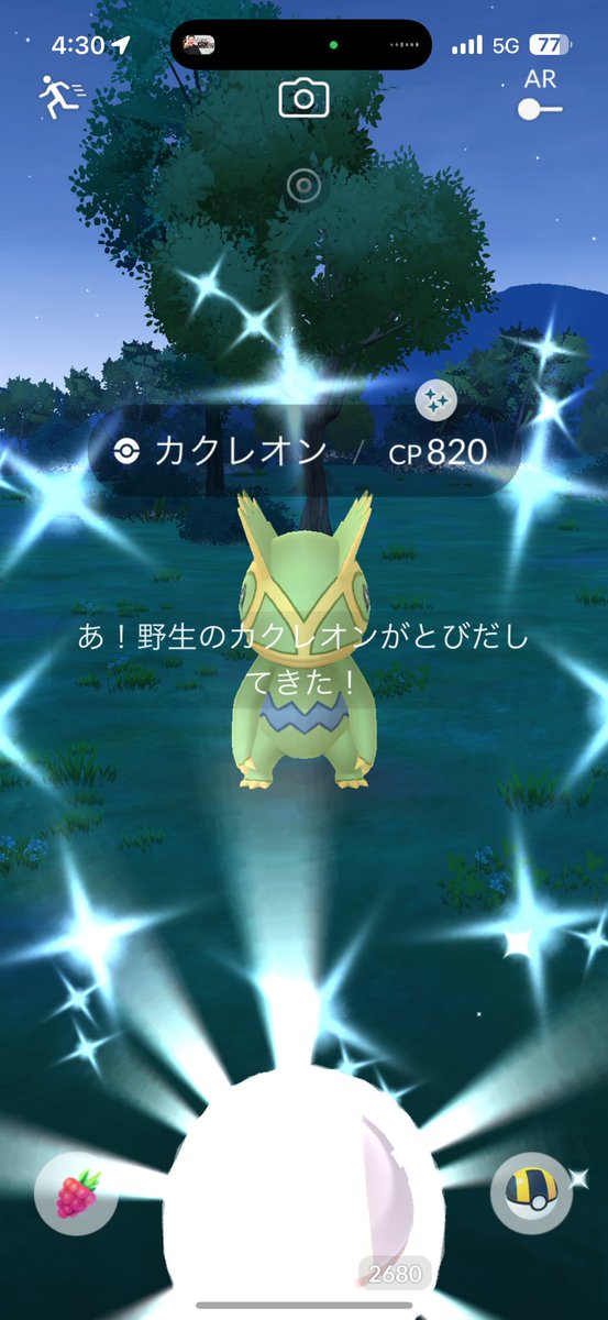 shiwouta's tweet photo. ヒトカゲ色違いの3分後にカクレオンの色違い出た〜🤩🤩🤩

色違いラッシュ入った🎰

#ポケモンGO
#カクレオン色違い https://t.co/MOGZiNrpX8