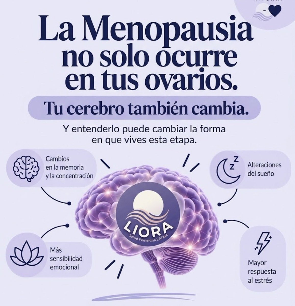 LioraApp's tweet photo. La menopausia no solo ocurre en tus ovarios: tu cerebro también cambia 🧠

Memoria, concentración, sueño, emociones y estrés pueden verse afectados. Entenderlo cambia la forma en que vives esta etapa.

#Menopausia #hormonas #perimenopausia #SaludFemenina #LIORA 💜 https://t.co/F1wzKfgUfJ