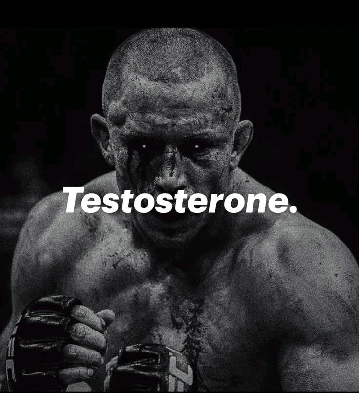 millonarioAnmo7's tweet photo. 5 cosas que debes hacer para mejorar tu testosterona naturalmente. https://t.co/tHuzK6QMW3