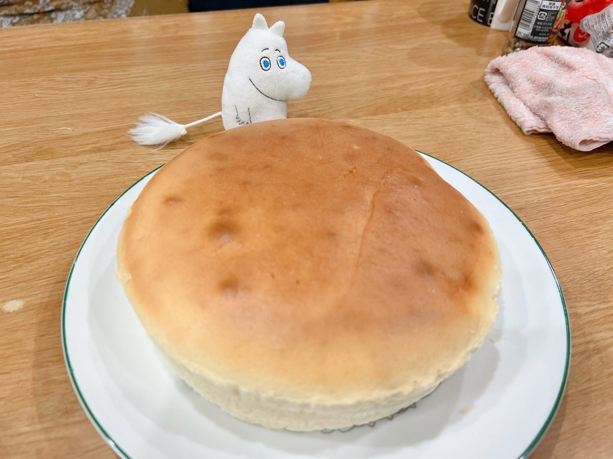 sp_paty's tweet photo. 帰省先のとりさん（17〜8歳？）と、かあちゃんが焼いたチーズケーキだよムーミン

猫、おりてきてくれなかった🥺

し、あたいも疲れて、上まで会いに行くのめんどかった😇ｵﾔｽﾐ https://t.co/VSnxHMl9Be