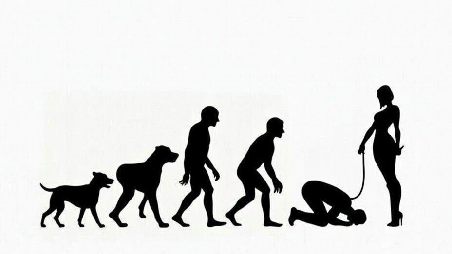 Kleopatra2_5's tweet photo. La giusta evoluzione della specie...🧎🏻‍♂️🐛💸💳👣 https://t.co/rZvzgcV8lZ