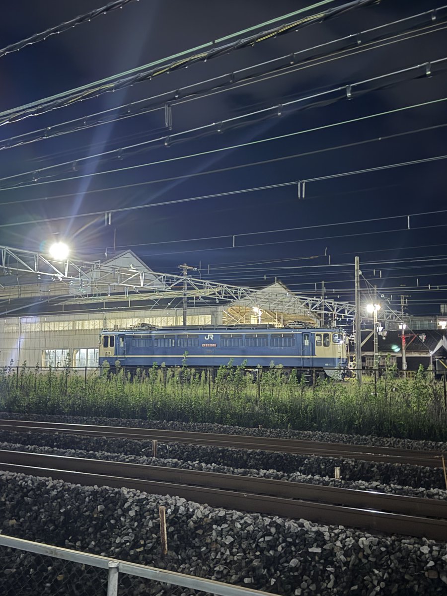 SgO9b's tweet photo. 特に変わりのないEF65 2066の計4枚📸

見たいのはPトップなのに…。
ここにEF65 501が鎮座していたらどんなに多くの見物者がいるだろうか。

#ef65
#pf型
#電気機関車 
#貨物列車
#高崎機関区 https://t.co/DeIp9N8EHc