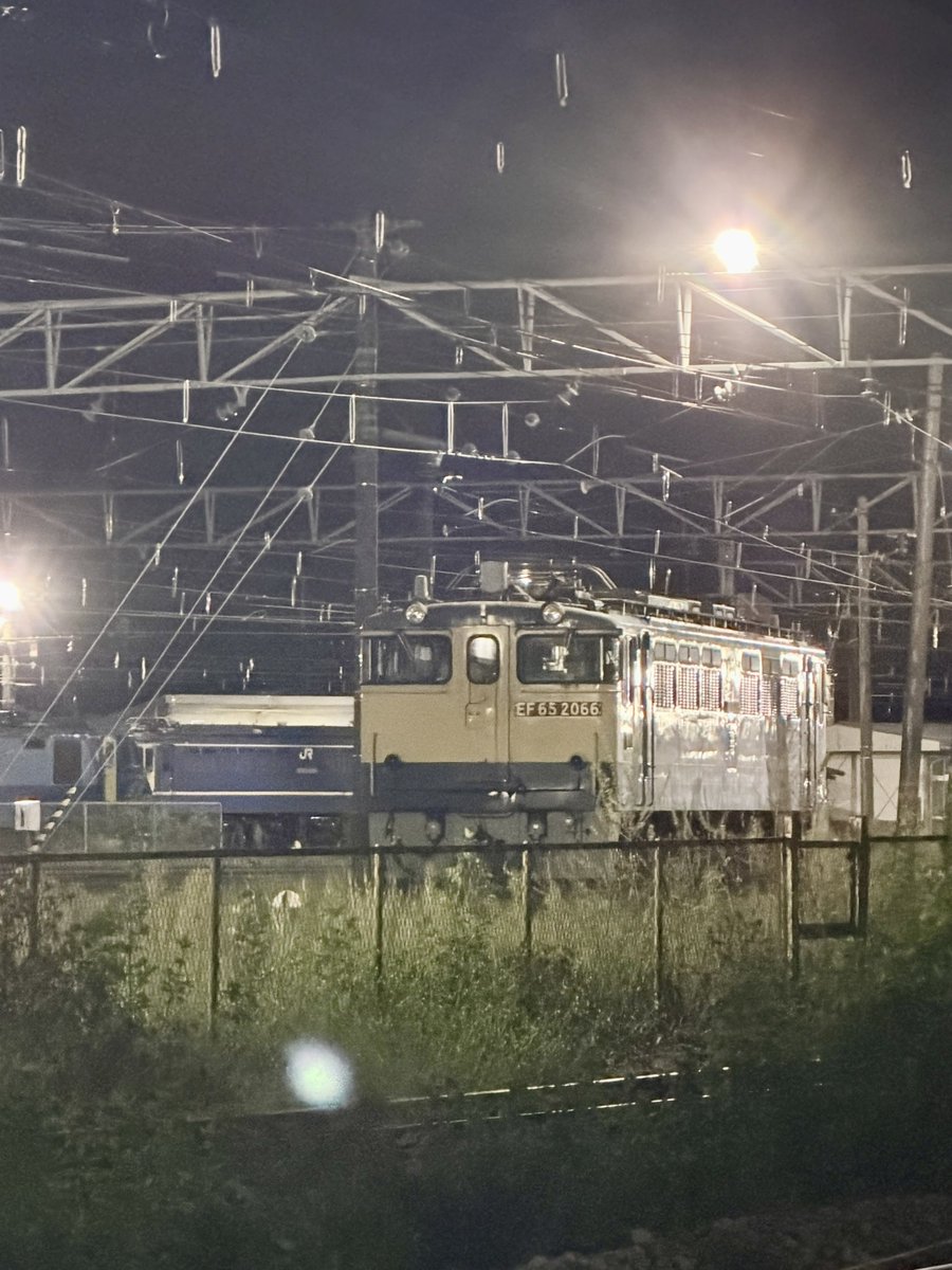 SgO9b's tweet photo. 特に変わりのないEF65 2066の計4枚📸

見たいのはPトップなのに…。
ここにEF65 501が鎮座していたらどんなに多くの見物者がいるだろうか。

#ef65
#pf型
#電気機関車 
#貨物列車
#高崎機関区 https://t.co/DeIp9N8EHc