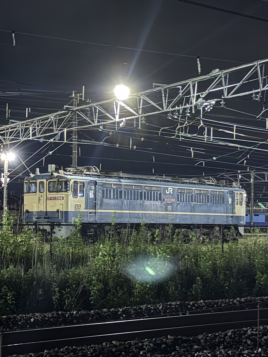 SgO9b's tweet photo. 特に変わりのないEF65 2066の計4枚📸

見たいのはPトップなのに…。
ここにEF65 501が鎮座していたらどんなに多くの見物者がいるだろうか。

#ef65
#pf型
#電気機関車 
#貨物列車
#高崎機関区 https://t.co/DeIp9N8EHc