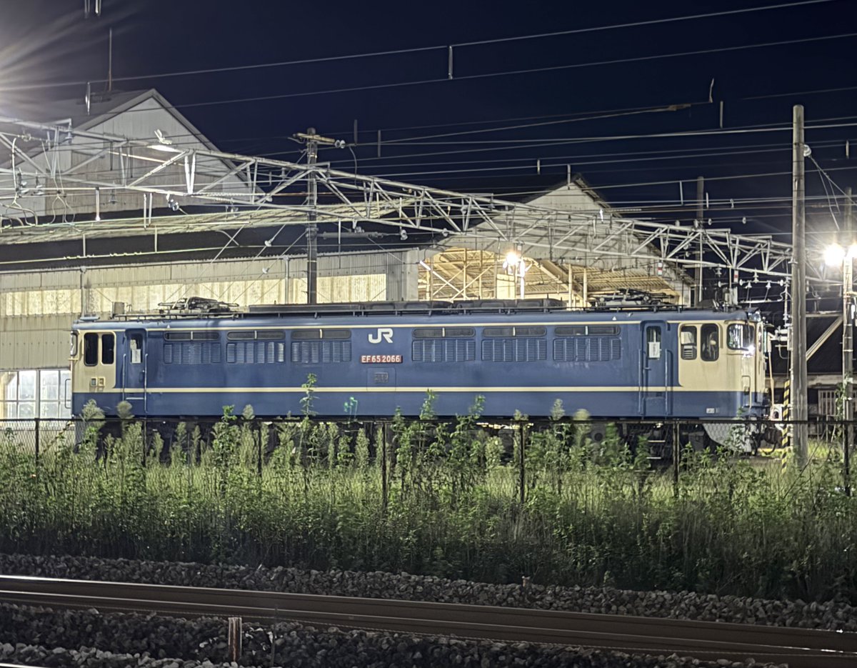 SgO9b's tweet photo. 特に変わりのないEF65 2066の計4枚📸

見たいのはPトップなのに…。
ここにEF65 501が鎮座していたらどんなに多くの見物者がいるだろうか。

#ef65
#pf型
#電気機関車 
#貨物列車
#高崎機関区 https://t.co/DeIp9N8EHc