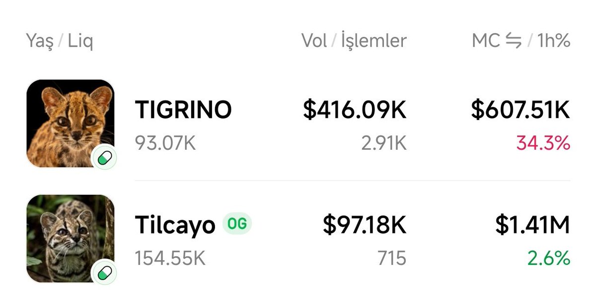 VezirovAli's tweet photo. Every race has a winner. Use your head and choose the right one.

$Tilcayo
AyYNfPtftg2zDP4ZbgcoQMggQtwLh4zpfVVmUJs2thto https://t.co/hAfRDtatcZ