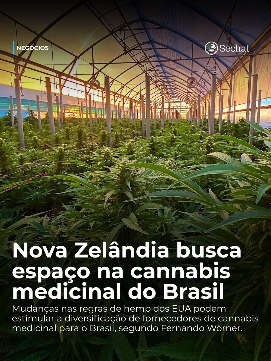 Sechat_Oficial's tweet photo. Entrevista 🇳🇿
A Nova Zelândia busca expandir sua presença no mercado de cannabis medicinal no Brasil.
📲 Confira a entrevista completa https://t.co/IBlM1RRh5w
#Sechat #CannabisMedicinal #NovaZelandia #MercadoCannabico #Entrevista #LinkNaBio https://t.co/u4H8skWlzK