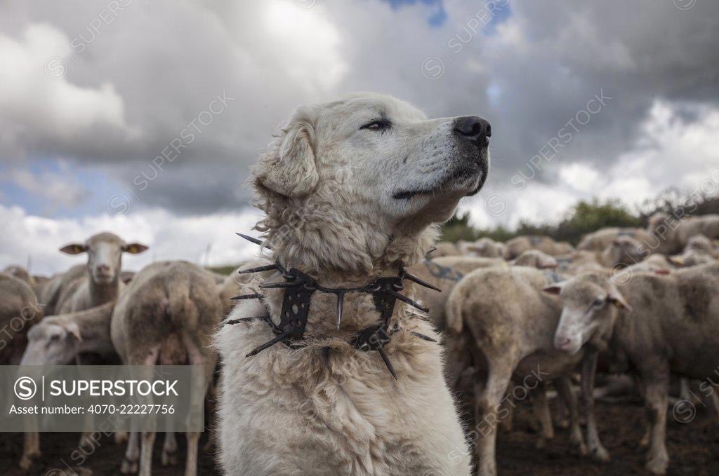 kat_moder's tweet photo. how it feels being the designated person to tell customers "No" https://t.co/55Ejvtdzah