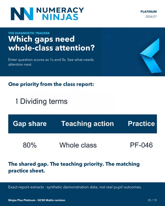 Numeracy Ninjas Platinum diagnostic tracker. A genuine class-report example identifies Dividing terms as a whole-class priority, with 80% gap share and matching practice sheet PF-046. Synthetic demonstration data, not real pupil outcomes.