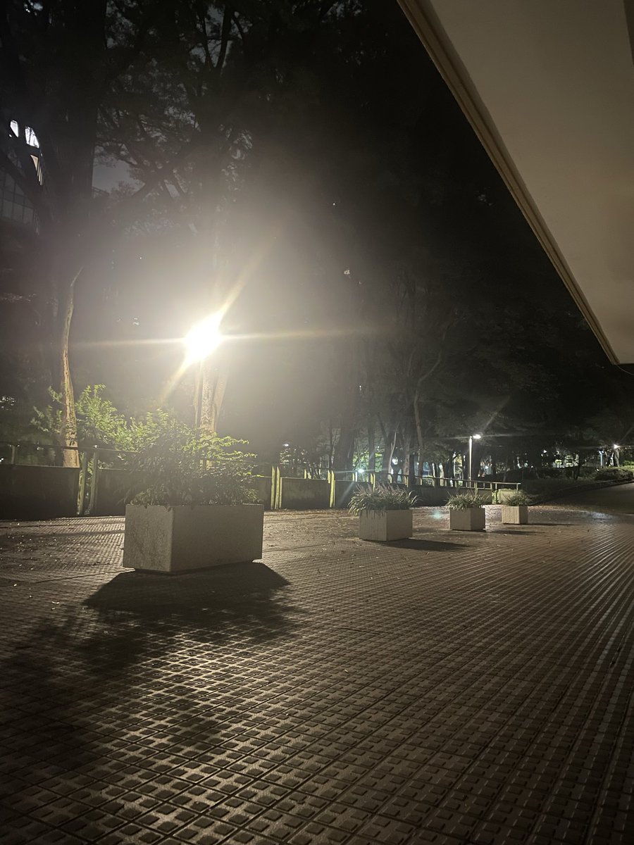 DDypdi10000's tweet photo. 段ボールくださいっていう勇気も気力もない。

ねれるかな、おやすみ https://t.co/R3L5Zj1JOo