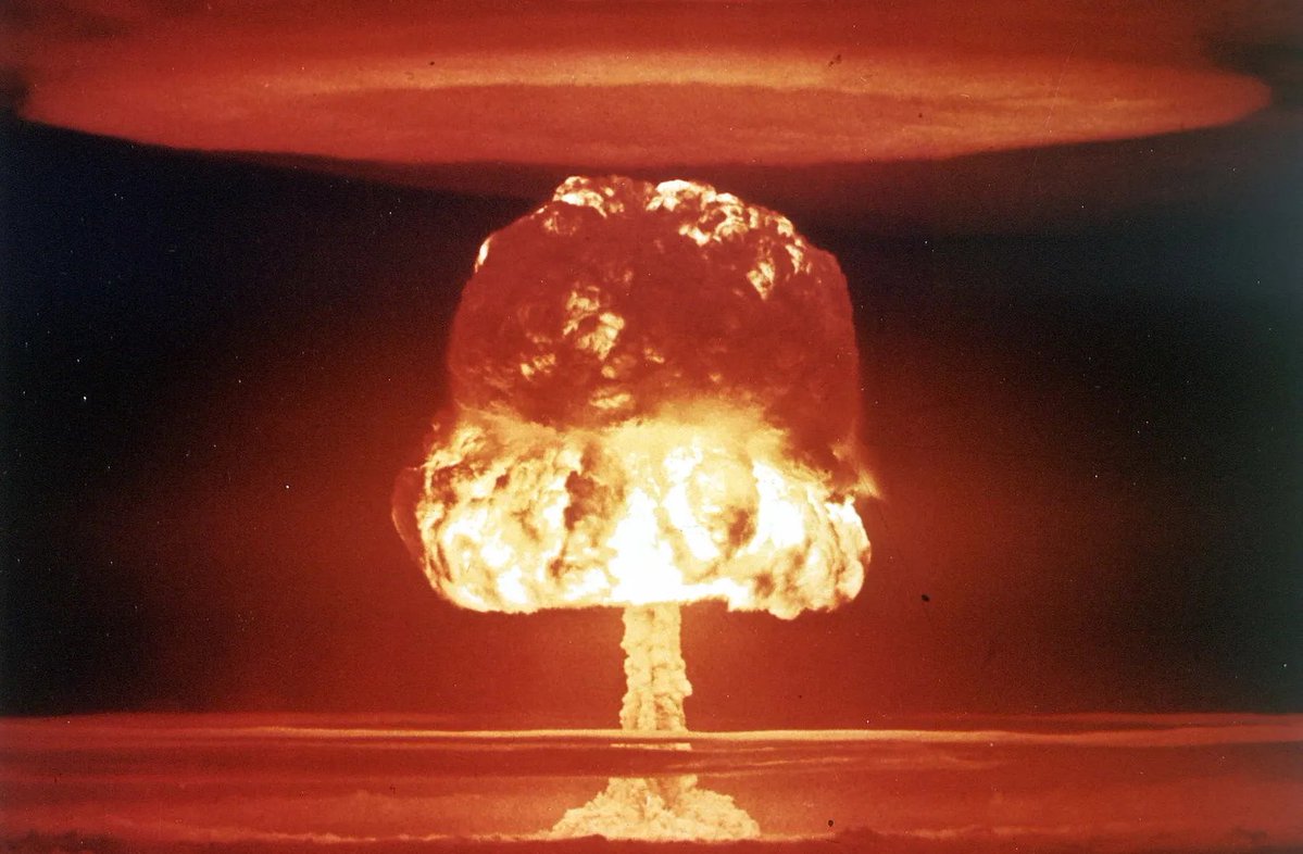 ImmortanZit's tweet photo. Nuclear is harmful to trans and immigrant children. https://t.co/BKn9PdHRkm
