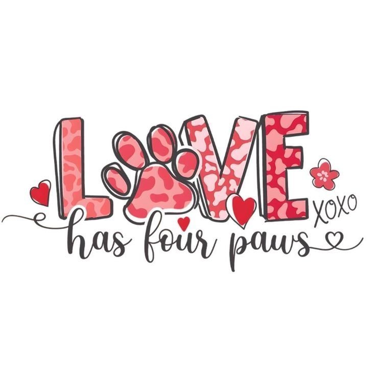 SabrinaHoueg6g's tweet photo. There's something special about having four paws beside you through all the little moments
Subscribe👇👇
https://t.co/XOTMVYSiNv https://t.co/eFdMUCbILa