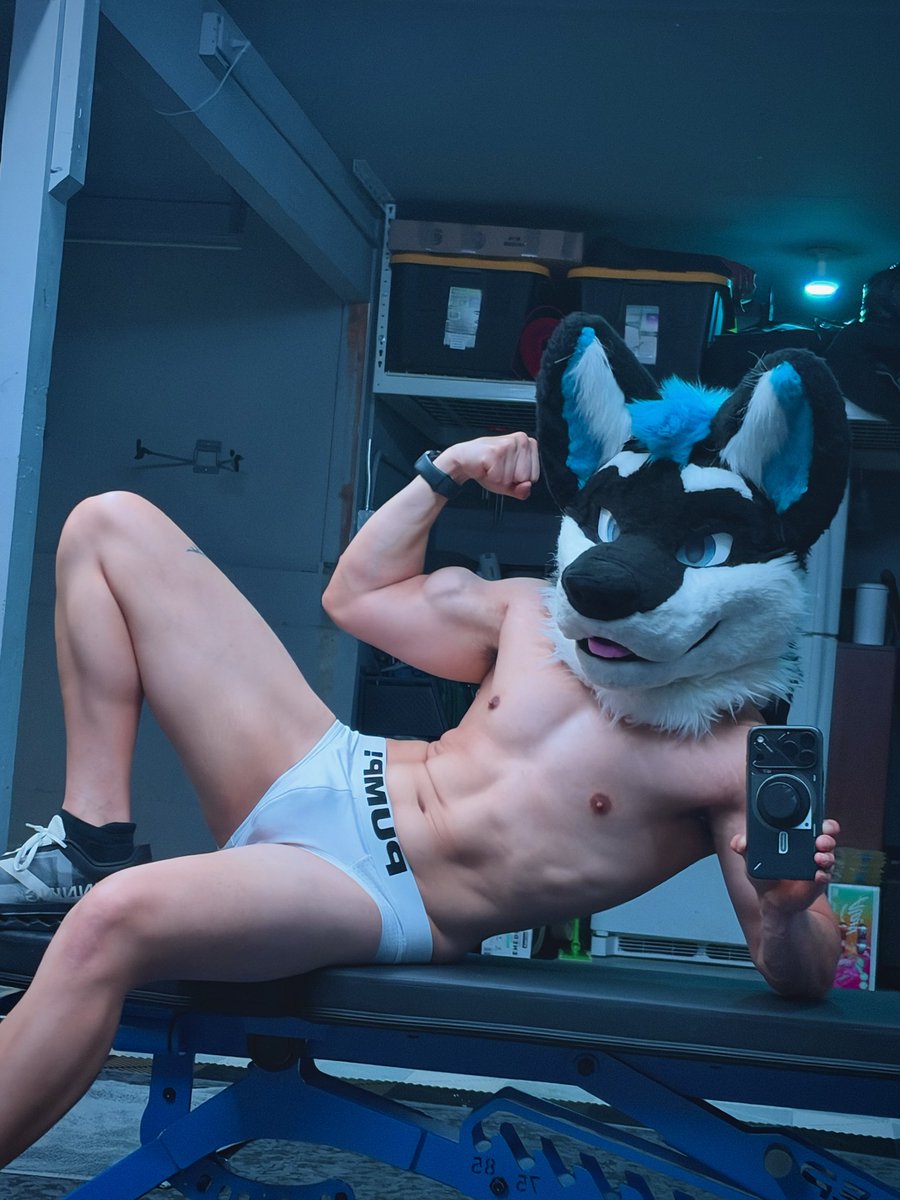 AtomtheWolf's tweet photo. Draw me like one of your French wolves https://t.co/7UptYVAgU8