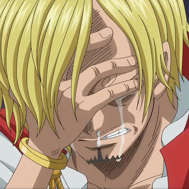 ssanjisleghair's tweet photo. if you think sanji “betrayed the crew” youre an idiot https://t.co/zECZ07Bljk