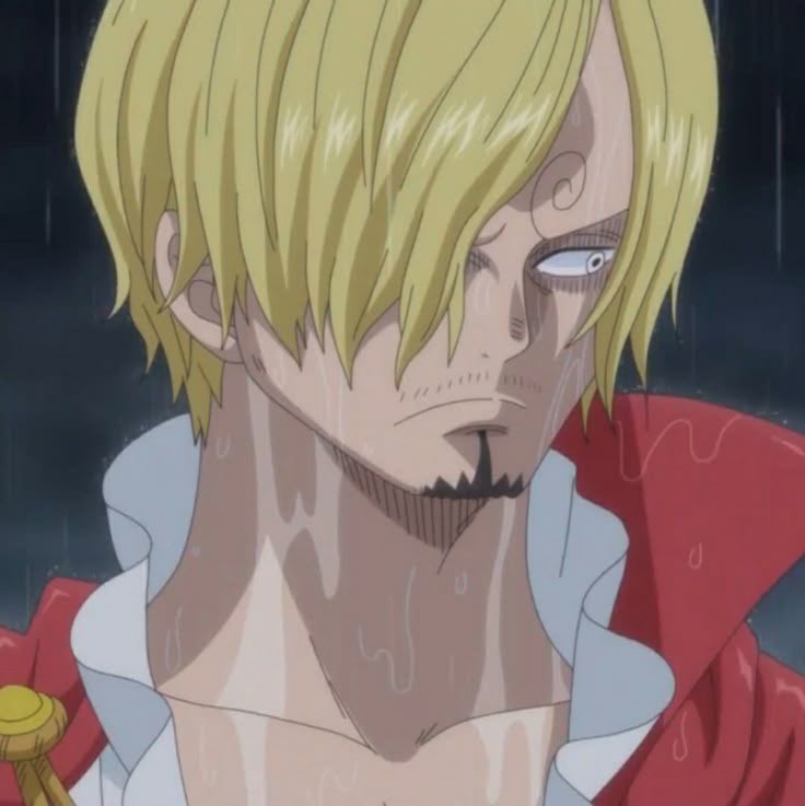 ssanjisleghair's tweet photo. if you think sanji “betrayed the crew” youre an idiot https://t.co/zECZ07Bljk