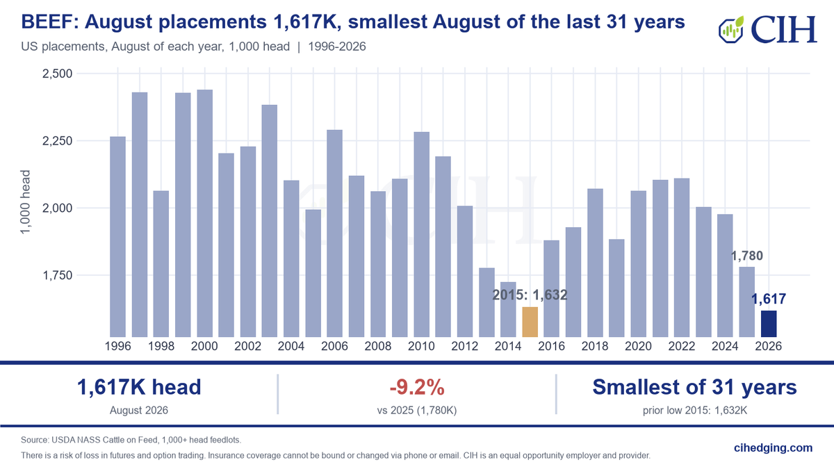 CIHCattleTeam's tweet photo. 🐂 COF: August Placements Hit a 31-Year Low

📉 August placements totaled 1.617M head, down 9.2% YoY.

📊 The smallest August placements since at least 1996, falling below the previous low of 1.632M head in 2015.

With fewer cattle entering feedlots, what does this mean for fed cattle availability in early 2027?

#cattle #ag