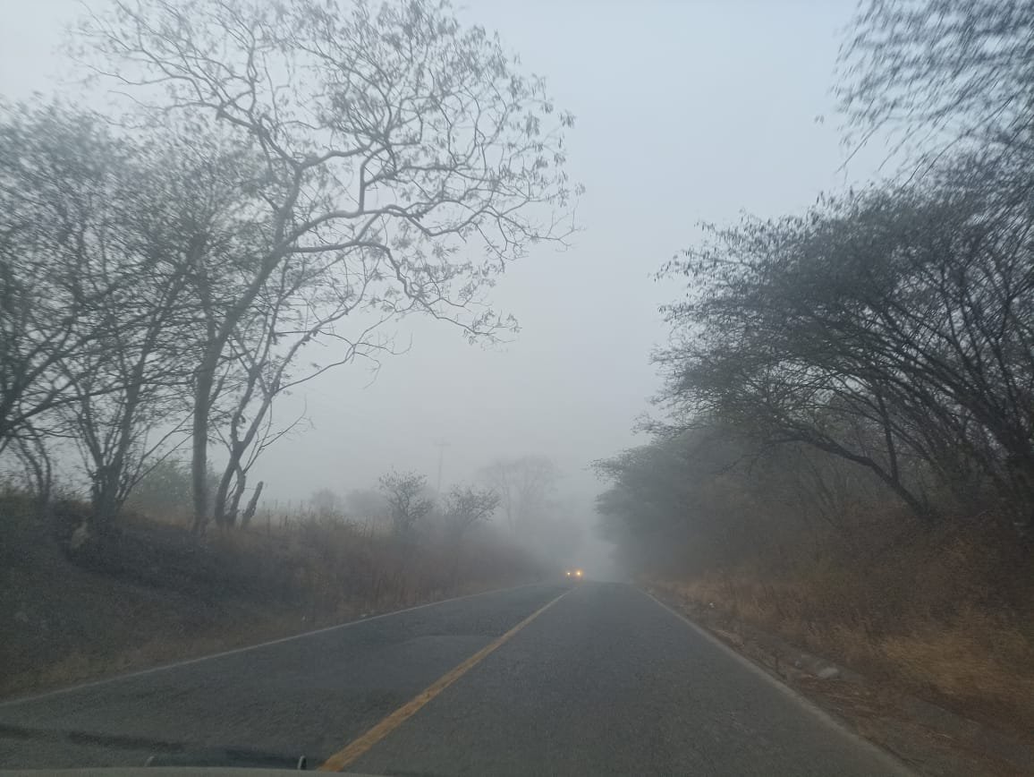 D3alight's tweet photo. En unos días regresaré al campo y estoy bastante feliz de eso, necesitaba un descanzo de mi vida actual 

Estás son algunas de las fotos que había tomado, tienen algo especial que me hacen sentir nostalgia https://t.co/bu0rULfnZK