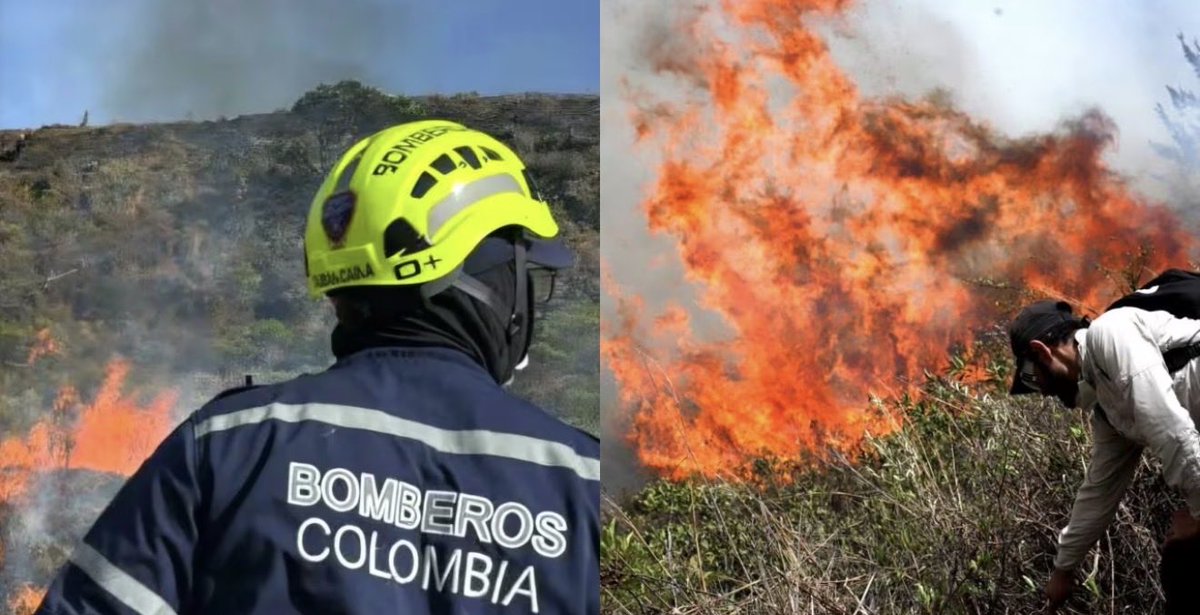 MariOlano's tweet photo. Imagínense, gritar todo el día que aman la naturaleza y hasta empelotarse dizque por defenderla… ¡para terminar provocando su destrucción!

¡Qué contradicción tan miserable! 😡🔥 https://t.co/AFJkHKrdFm