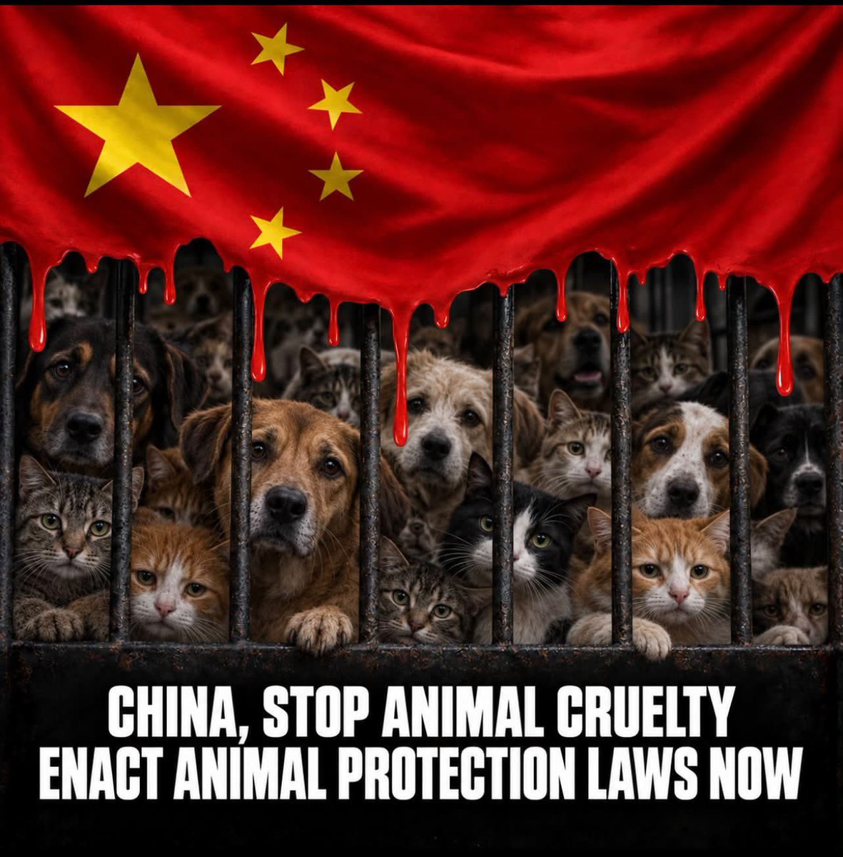 NALJR4DNmels's tweet photo. #Wangwang #JusticeForWangwang #BoycottChina #ChinaAnimalProtectionLaw #BoycottChinaTourism #ChinaMustAct #AnimalWelfare #animalwelfarelaws #StopYulin #StopCatTortureInChina #StopKittenTortureInChina #EndAnimalCruelty #AnimalProtectionLawChina #cowcat #StopCatTorture #StopKittenTorture