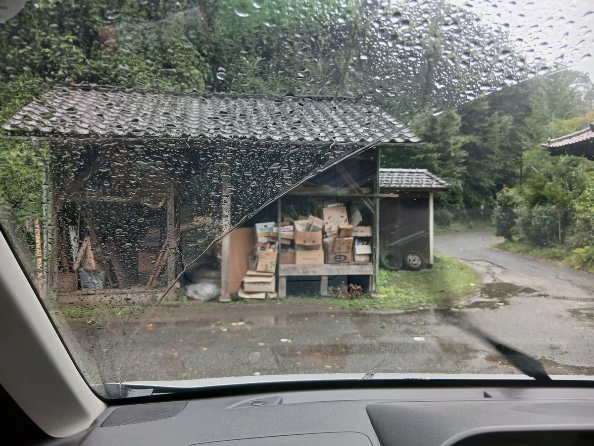 NdesignCamer's tweet photo. 今日すっごく過ごしやすいかも
虫の声、太陽、風もちょうどいい
お散歩日和☺️ https://t.co/HMQB6wCiWi