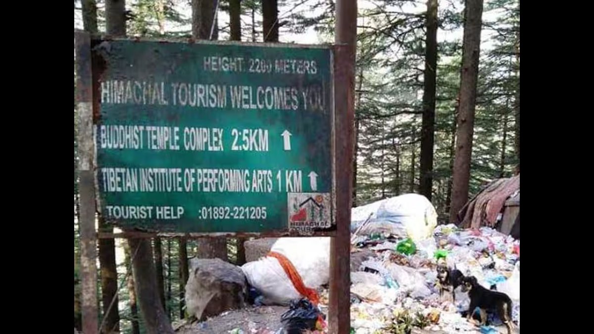 SidHimachal tweet picture