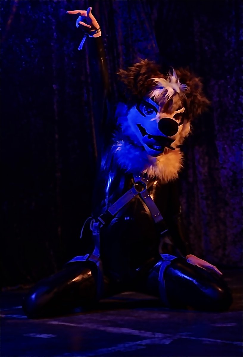 ShuppyJack's tweet photo. Feeling like a shining star up on this stage~! Especially when I’m holding a cute pups leash~
A very amazing first time at uproar ❤️

🐶 in second pic: @SilasOrangePup
All 📸: https://t.co/XAcm82SjTj https://t.co/eA5uO72ciK