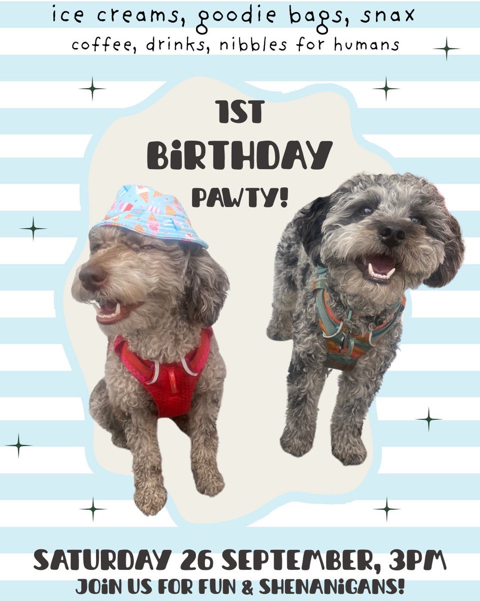 bemorebob2's tweet photo. Beans! 

Me and my pal Pickle are having ours first birthday party on Saturday, 3-5pm. 

Please join us for ice creams, pawty bags and lots of giggles. 

Love Dolly pop and Pickle pop 💕💕 https://t.co/ijjZTAJUlD