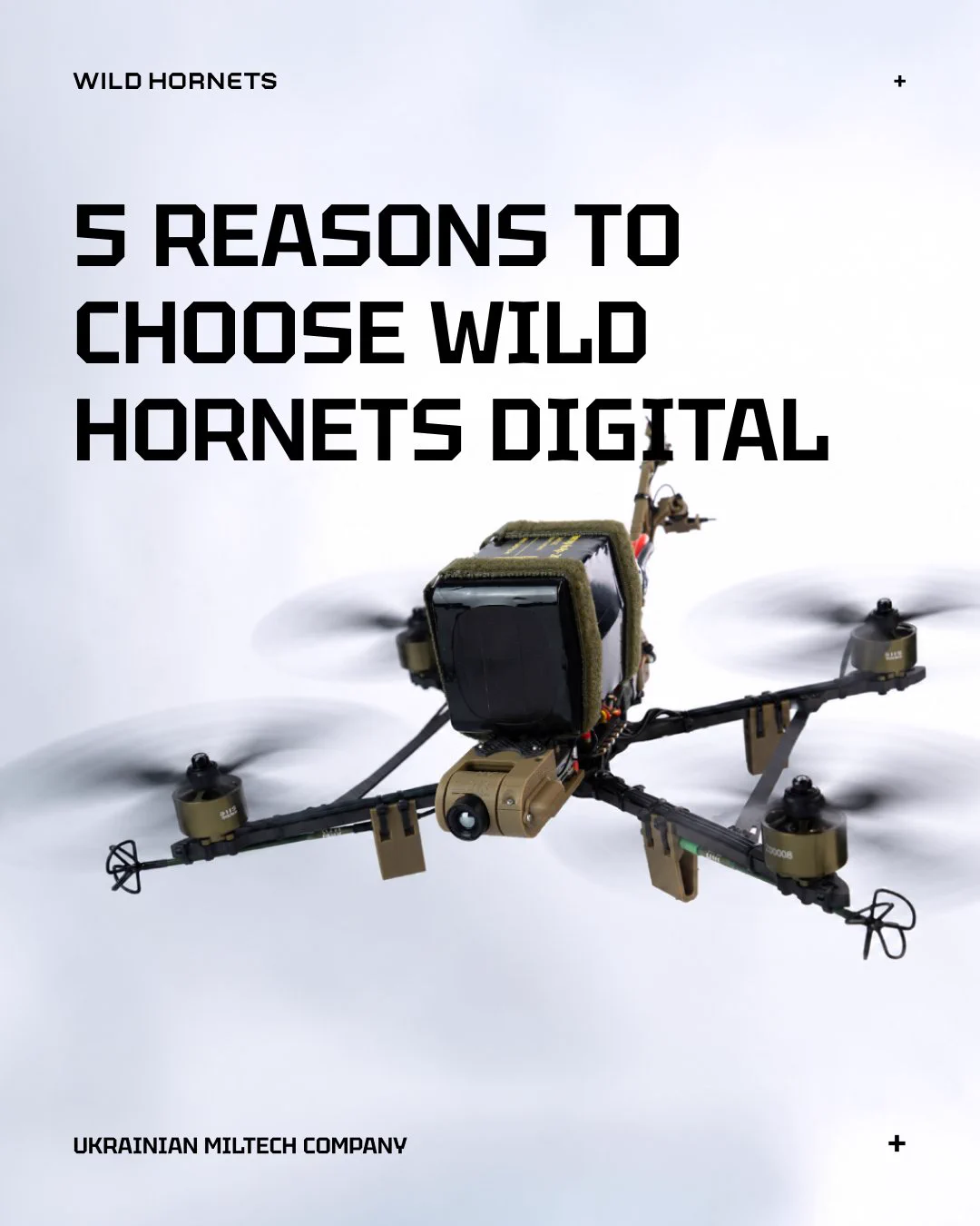 Wild Hornets on X / X