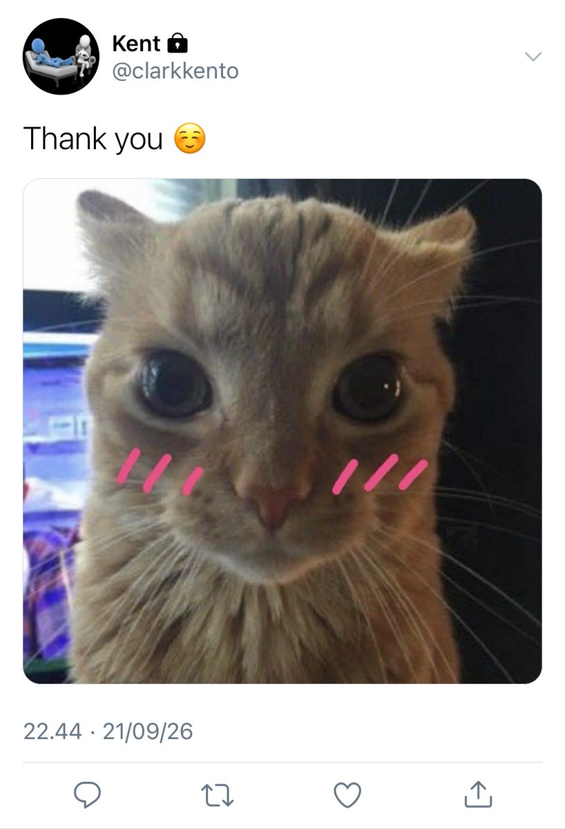etnowt's tweet photo. https://t.co/uOffMxyMYU