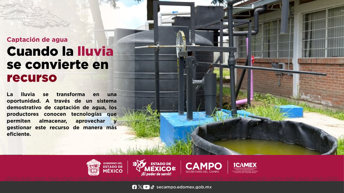 ICAMEXoficial's tweet photo. Cada gota cuenta.💧
En #ICAMEX, un sistema demostrativo de captación de agua de lluvia muestra cómo almacenar, filtrar y aprovechar este recurso mediante tecnologías sostenibles que pueden replicarse en el campo mexiquense.

#ICAMEXPorDentro #ElPoderDeServir https://t.co/3KjBLC2nk8