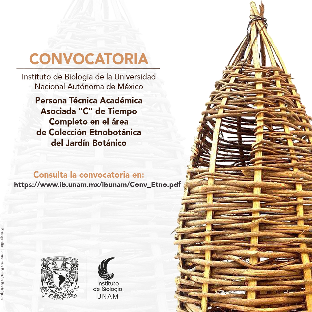 ib_unam's tweet photo. CONVOCATORIA
Instituto de Biología de la Universidad Nacional Autónoma de México para una Persona Técnica Académica Asociada "C" de Tiempo Completo en el áreade Colección Etnobotánicadel Jardín Botánico

https://t.co/pMqqWv008w https://t.co/LjQCMWmXoy