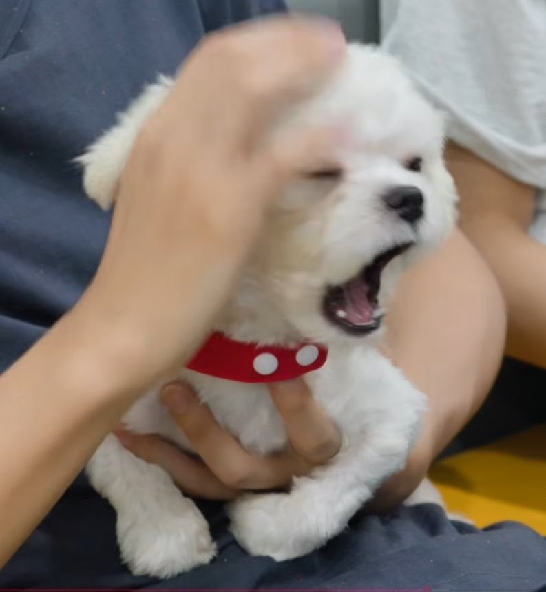 w1s2_nt's tweet photo. 그니까
ㅇㅂ님 
눈에는... https://t.co/xAI8THUQBK