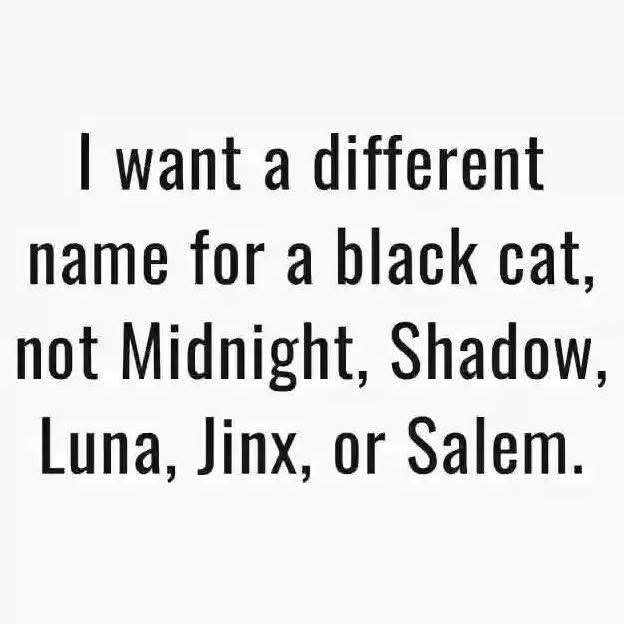 Sofia50020Sofia's tweet photo. Can you think of a better name? https://t.co/24Ewjz0cjt