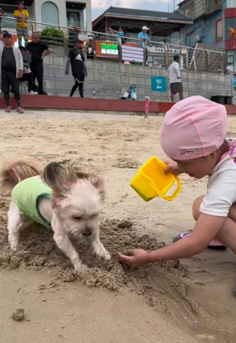 mamamudaanak2's tweet photo. A sunny afternoon with my little adventurer—we built the cutest sandcastle and chased seagulls at the beach, all messy and full of giggles , https://t.co/1G9Wxn0Vjx