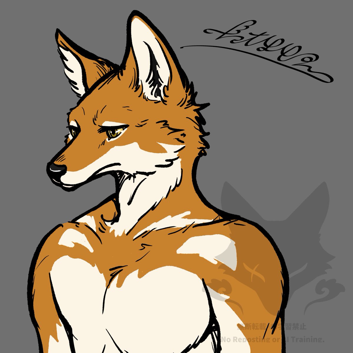 dawnmisty_cat's tweet photo. Ethiopian wolf https://t.co/IT7UF6UqkL