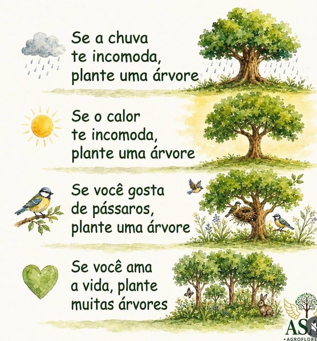 nalda09l's tweet photo. #reflexão 🌏 https://t.co/3mfI2zTwTf